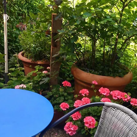 Bellairis Apartmán Igersheim