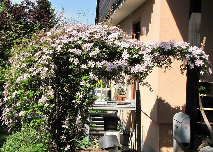 Bellairis 아파트 *